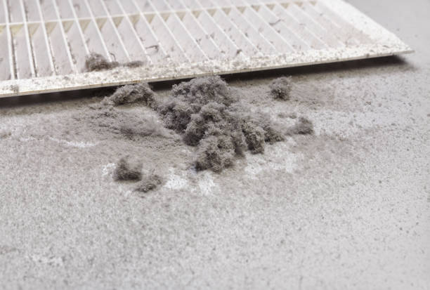 Best Air Vent Cleaning Services  in Concord, MO
